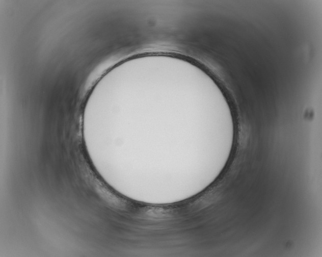 X0000110901366200907161541