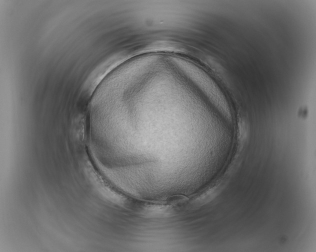 X0000110901369200907161541