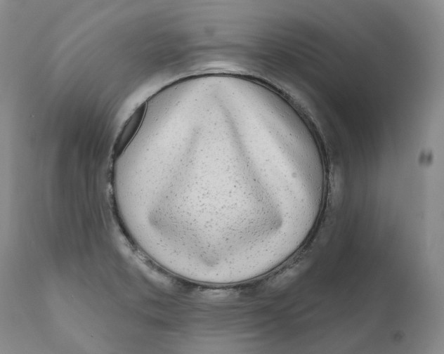 X0000110901373200907161541