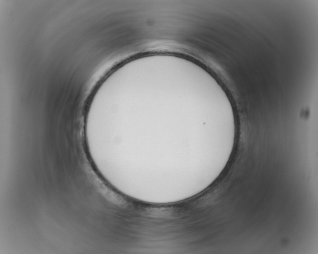 X0000110901376200907161541