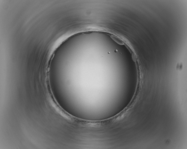 X0000110901381200907161540