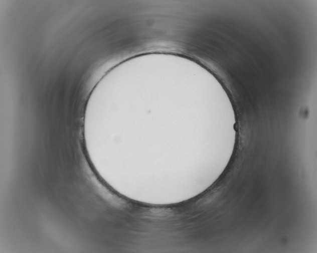 X0000110901383200907161540