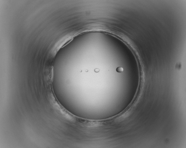 X0000110901385200907161540