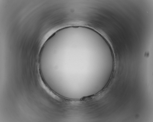 X0000110901389200907161540