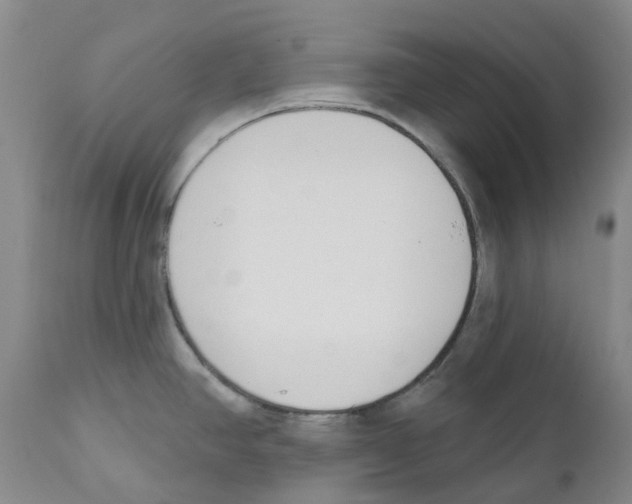 X0000110901390200907161540