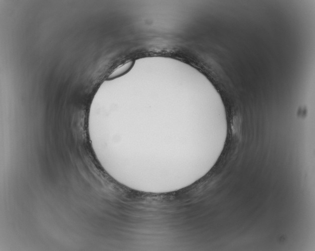 X0000110901396200907161540