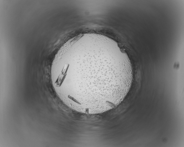 X0000110901397200907161540