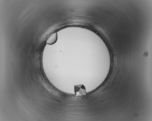 X0000110901403200907161540