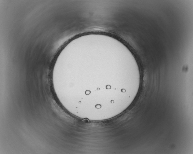 X0000110901404200907161540