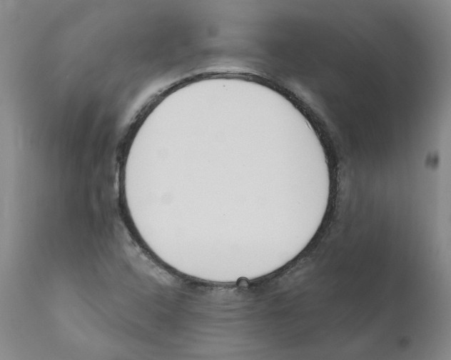 X0000110901408200907161540