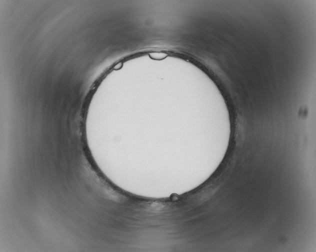 X0000110901412200907161540