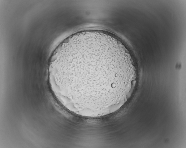 X0000110901413200907161540