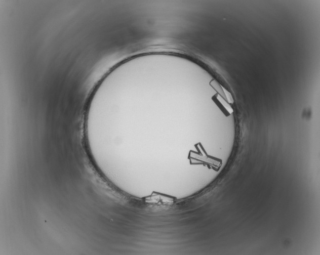 X0000110901415200907161540