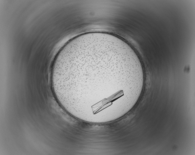 X0000110901419200907161540