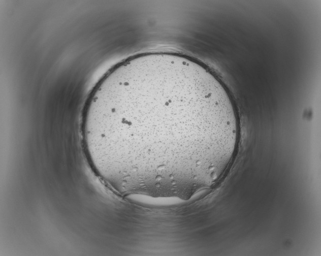 X0000110901422200907161540