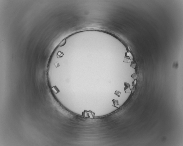 X0000110901423200907161540