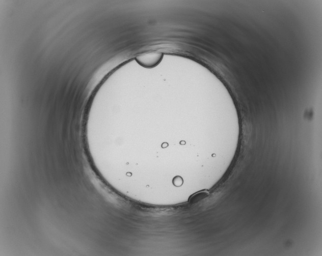 X0000110901426200907161540