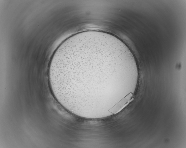 X0000110901427200907161540