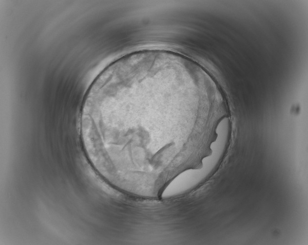 X0000110901428200907161540