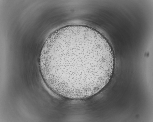 X0000110901429200907161540