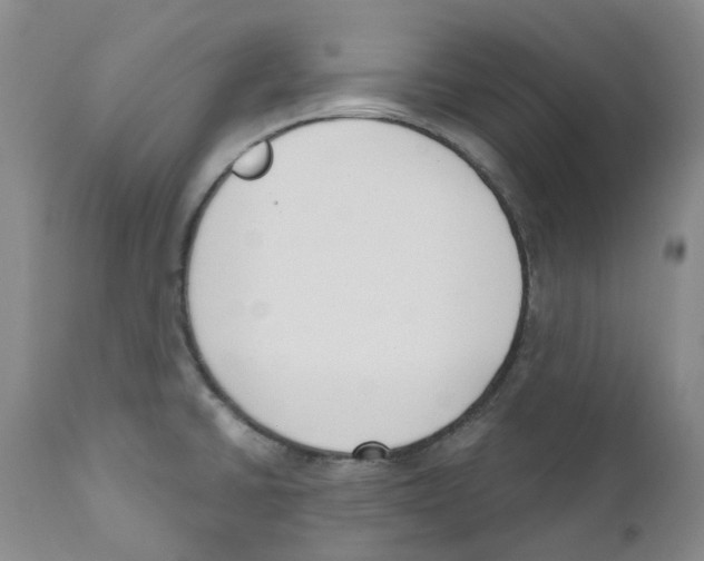 X0000110901430200907161540