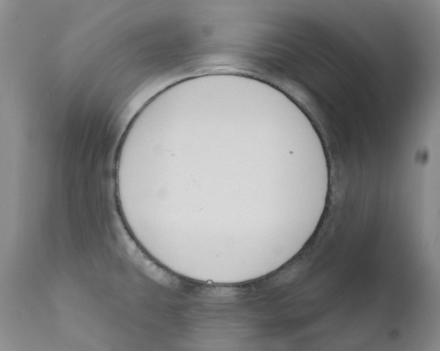 X0000110901431200907161540