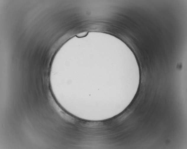 X0000110901434200907161540