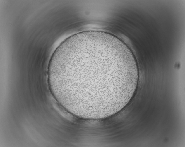 X0000110901435200907161540