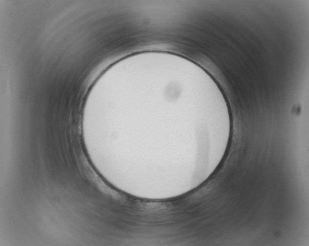 X0000110901436200907161540