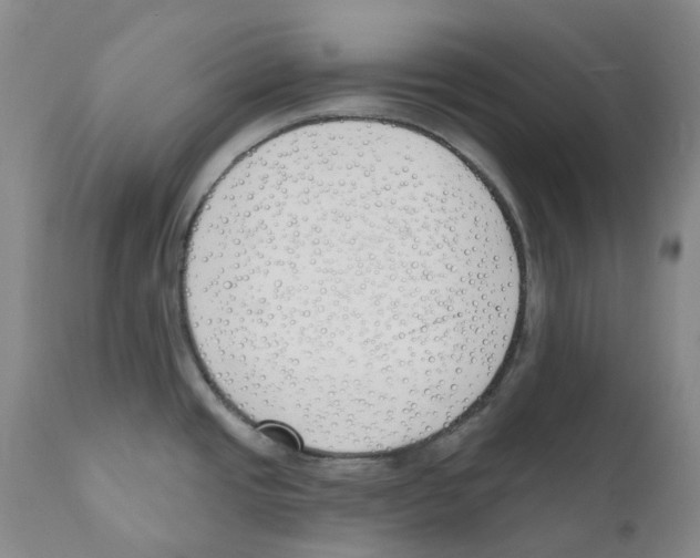 X0000110901437200907161540