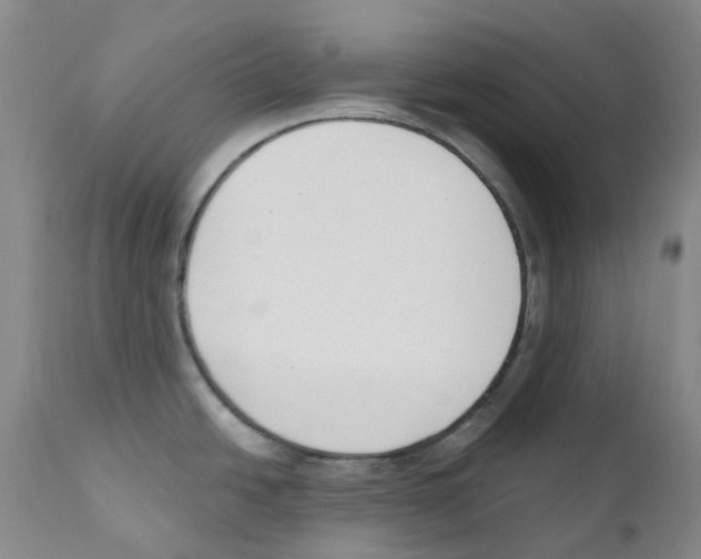 X0000110901438200907161540