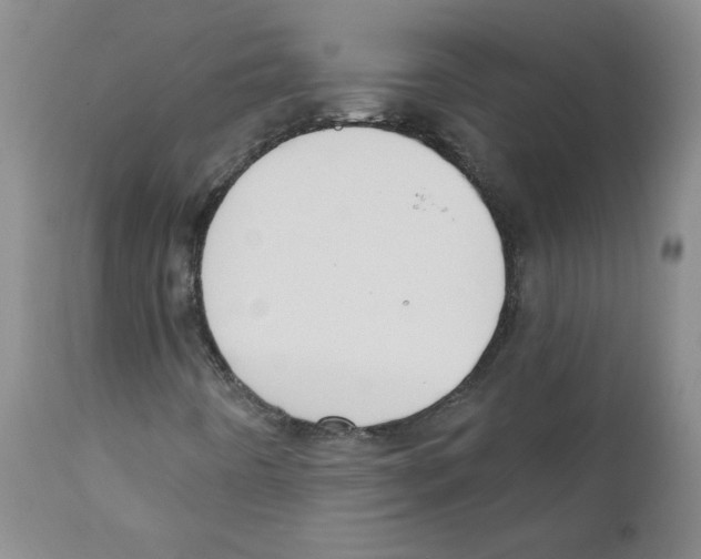 X0000110901442200907161539