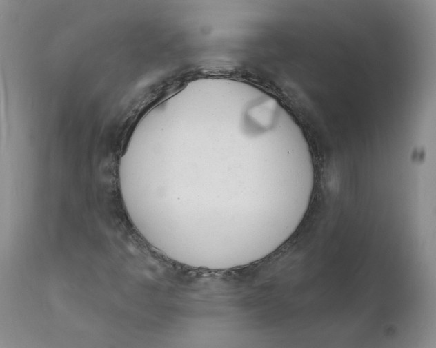 X0000110901445200907161539