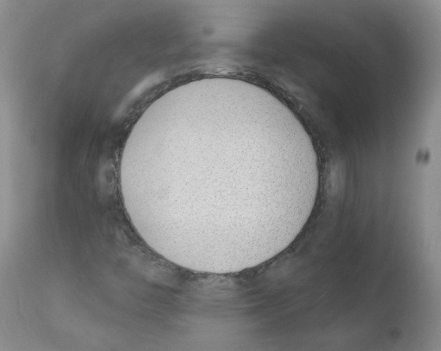 X0000110901446200907161539