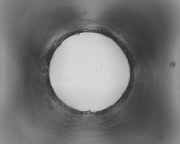 X0000110901447200907161539