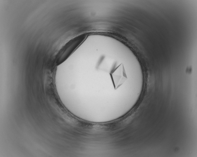 X0000110901449200907161539