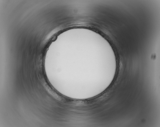 X0000110901450200907161539