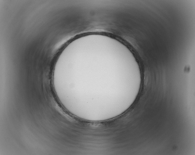 X0000110901452200907161539