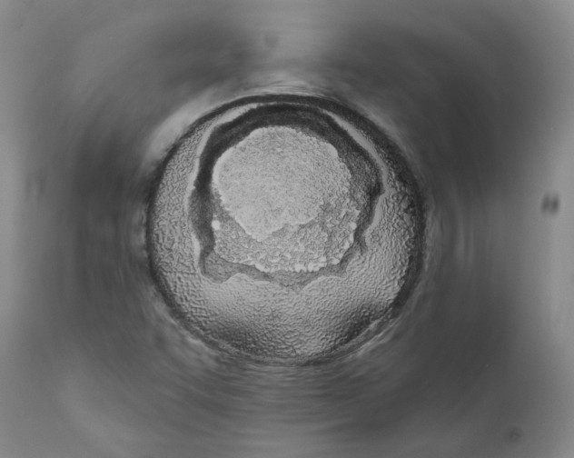 X0000110901455200907161539