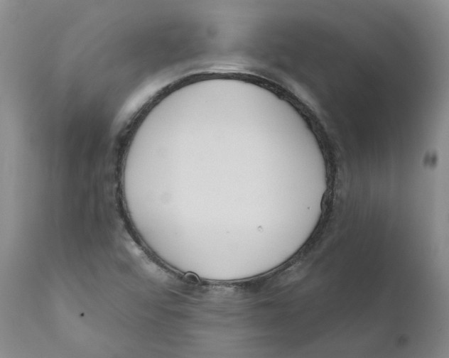 X0000110901456200907161539