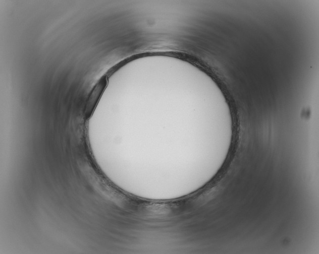 X0000110901457200907161539