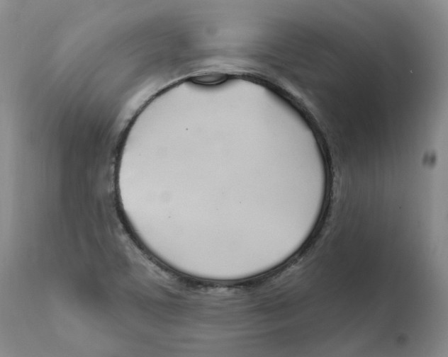 X0000110901459200907161539