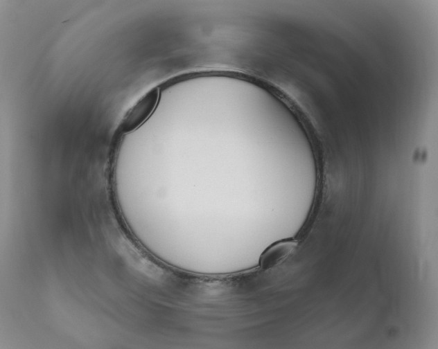 X0000110901460200907161539