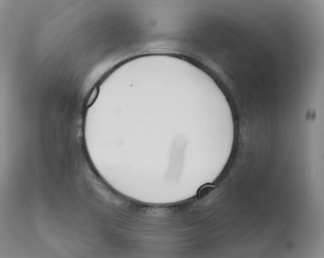 X0000110901461200907161539