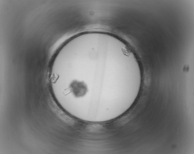 X0000110901462200907161539