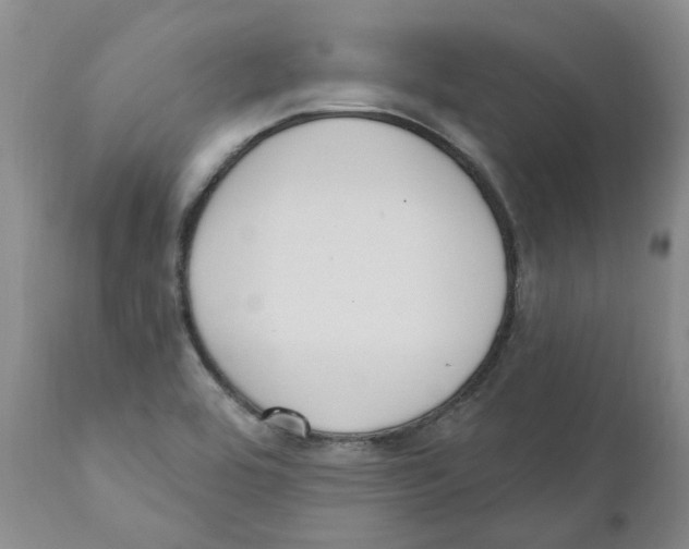 X0000110901464200907161539