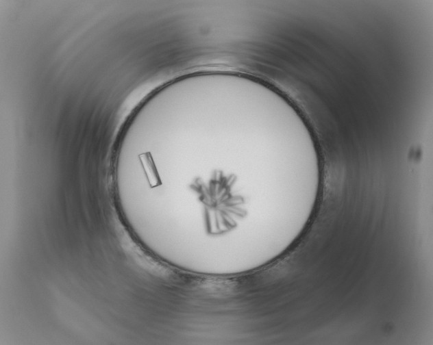 X0000110901466200907161539