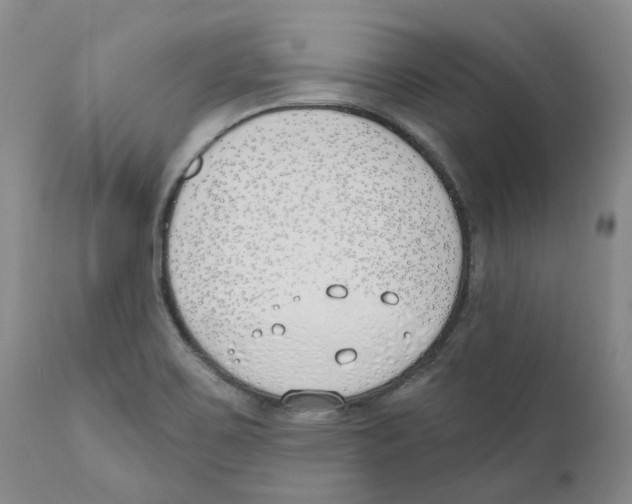 X0000110901467200907161539