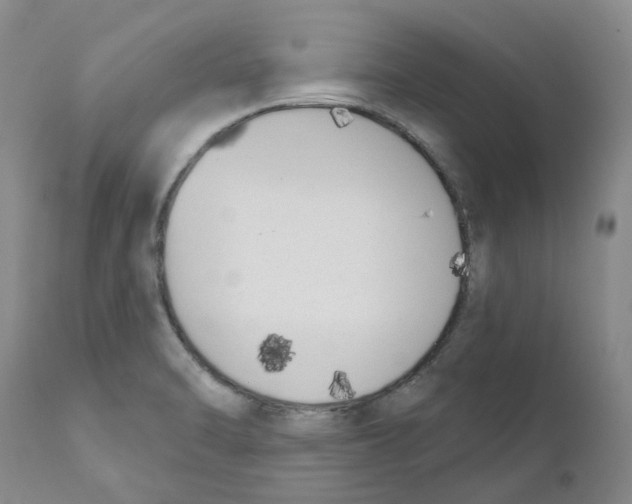 X0000110901470200907161539