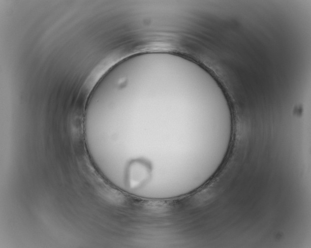 X0000110901473200907161539